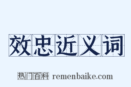 效忠近义词是什么意思的图片